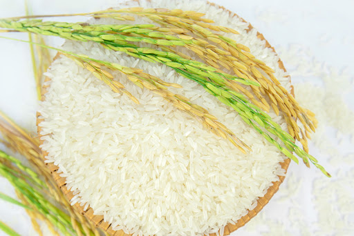Gạo hương sen - Gạo Gia Phú - Công Ty TNHH Nông Sản Gia Phú